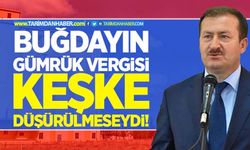 Buğdayın gümrük vergisi keşke düşürülmeseydi!