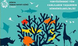 Kars Veteriner Hekimler Odası: Yaban hayatın ticaretinin yasaklanmasından yanayız