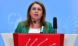 CHP’li Karaca: Çiftçilerin sulama birliklerine olan borçları silinsin
