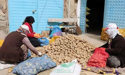 Sandıklı Ziraat Odası: Çiftçimiz bugüne kadar üretti, üretmeye de devam edecek