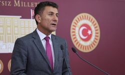 Sarıbal: Çay tarım kurulu kurulmalı!