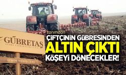 Çiftçinin gübresinden altın çıktı!