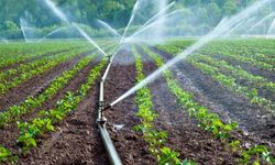 DSİ açıkladı! Gümüşhane’de 113 bin dekar tarım arazisi sulanacak