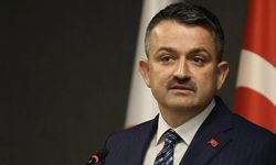 Tarım Bakanı açıkladı! Haziran’da besi destekleri ödenecek