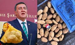 Üreticinin patatesi elinde çürürken Türkiye patates mi ithal etti?