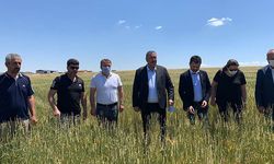 ÇKS’li TARSİM’li olup olmadıklarına bakılmaksızın çiftçinin zararı karşılanmalı