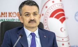 Kurban bayramı öncesi çiftçiye 358 milyon lira destek ödemesi