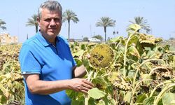 CHP’li Barut: İthalata değil üreticiye destek verin!