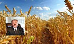 Ziraat Mühendisleri Odası: TMO'yu asıl görevini yapmaya davet ediyoruz