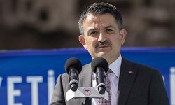 En çok hangi bakanı beğeniyorsunuz anketinden Pakdemirli kaçıncı çıktı?