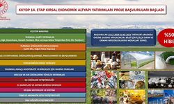 Kırsal kalkınma desteklerinde hangi yatırımlar desteklenecek?