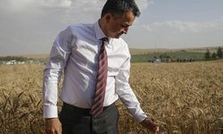 Tarım Bakanı ithal buğdayla ilgili verileri açıklamadı