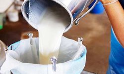 Çiğ süt fiyatına 10 kuruş zam! Çiğ süt analizinde hakem kim olacak?
