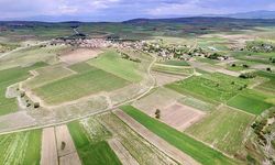 Amasya ve Tunceli’de arazi toplulaştırması yapılacak!