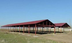 Erzurum'da yetiştiricilere önemli hizmet gölgelik projesi hayata geçiriliyor