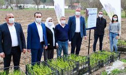 Eskişehir kuşkonmaz üretimini daha ileri noktalara taşımak istiyor