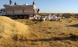 Kızıltepe Ziraat Odasından olay saman yorumu: Sap saman olayı kripto para olayına döndü!