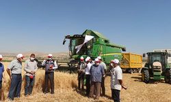 Elazığ'da yılın ilk hububat hasadı başladı