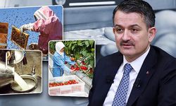 Çiftçiye yarım milyarlık destek ödemesi! Bakan kalem kalem açıkladı!