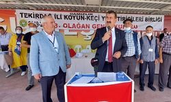 Cumhurbaşkanı talimat verdi: Küçükbaş hayvanda hedef 90 milyon
