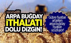 TMO arpa buğday ithalatında dolu dizgin!