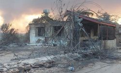 TARSİM yangın ve sel bölgesinden yapılan ihbar sayısını açıkladı