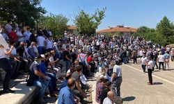 Tavuk üreticileri de Tarım Bakanlığından umudu kesti Cumhurbaşkanından çözüm bekliyor!