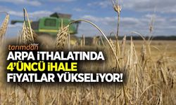 TMO 4’ncü arpa ithalat ihalesini yaptı! Rakamlar arttı!