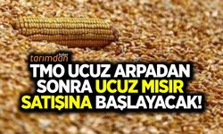 TMO ucuz arpadan sonra ucuz mısır satışına başlayacak!