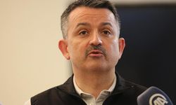 Van'da sel felaketinde hayvanları zarar gören vatandaşların zararı karşılanacak