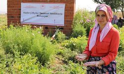 Atmaca barbunya çeşidi! Kadın çiftçilere eğitim toplantısı