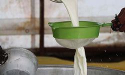 Birlik başkanları süt fiyatlarından dert yandı! Bu fiyatlarla hayvancılık yapılmaz!