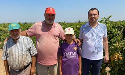 Manisalı çiftçilerin elektrik borcu 15 milyon lira!