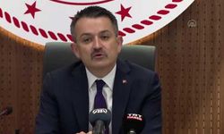 Polen alerjisine karşı meteorolojiden önemli çalışma!