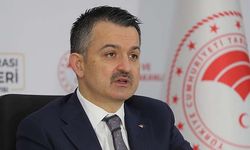 Tarım Bakanı iki yıldır Bakanlığa uğramıyor! Bakan yardımcıları bile yüzüne hasret!