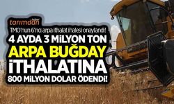 TMO 6'ncı arpa ithalat ihalesini onayladı? 304 dolardan 260 bin ton ithalat yapılacak!