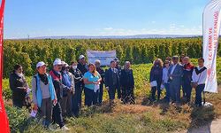 Yerli barbunya çeşidine üreticiden tam not