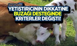 Buzağı desteğinde kriterler değişti!