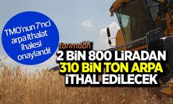 TMO 7’nci arpa ithalat ihalesini yaptı! Fiyatlar artmaya devam ediyor!