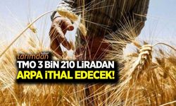 TMO'nun 8'inci arpa ithalat ihalesi onaylandı! İthal arpa fiyatları yeni bir rekor kırdı!