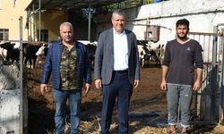 90 liralık yem 200 lira oldu!