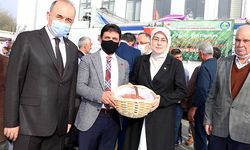 Adelaide buğday çeşidinde dekara 600-650 kg verim alındı! Çiftçiye 40 ton tohum dağıtıldı!