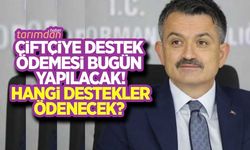Çiftçiye destek ödemesi bugün yapılacak! Hangi destekler ödenecek?
