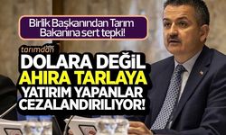 Dolara değil de ahıra, tarlaya yatırım yapanlar cezalandırılıyor!
