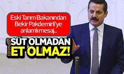 Eski Tarım Bakanından Pakdemirli'ye anlamlı mesaj: Süt olmadan et olmaz!