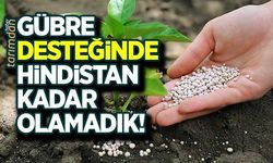 Gübre desteğinde Hindistan kadar olamadık!