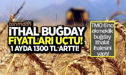 İthal buğday fiyatları uçtu! 1 ayda tonu 1300 lira arttı!