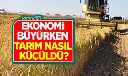 Rekolte düştü tarım küçüldü!