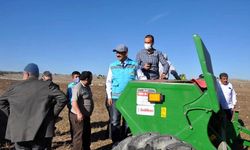 Tarım il müdürü ketencik tohumu ekti