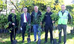 Üreticilere 2 bin adet narenci fidanı dağıtıldı